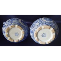 Blauw witte plantenpotten, gemerkt